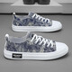 Vistusi brand canvas shoes for men in summer breathable sports shoes for non-slip Korean version of versatile casual shoes for men blue 42