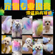 OIMG dog hair dye hair pet special white Bichon Teddy animal cat dye hair cream Pomeranian supplies red 120g with tools