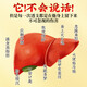 Tongrentang chrysanthemum cassia wolfberry health tea nourishing liver tea honeysuckle licorice burdock root protection stay up late and bring heat 150g