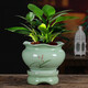 Qiantangyuan (Qian Tang Yuan) Kreatives grünes Bambus Sukkulenter Blumentopf Lazy Automatisches Wasser saugfähig Ceramics Haushalt atmungsaktivem Mandarin Bambus Phalaenoptic Orchid Pot Pflanze Große yy pinkgrün 719+ Lazy Base