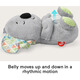 Fisher-Price Baby Educación temprana Koala Plush Toys Machine Sound Machine Iluminación de música personalizable adecuada para recién nacidos Grt59