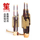 Qi est 17 Instruments de musique d'amplification printemps 14 printemps, outils de culture de Sheng Sheng Sheng Sheng Bag débutants 14 Spring Laquer Gold Dousheng [Purple Bamboo Sheng Seedling Yellow Pipe]