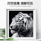 Xiojingren TN2520 Powder Box подходит для братьев DCP-L2548DW Cartridge L2508DW L2518DW L2628DW L2648DW ПРИНТЕРНА