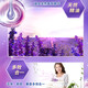 Axe brand AXE lavender laundry detergent 2.08kg bag laundry detergent machine hand washing and universal