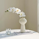 Flower e-flow Phalaenopsis artificial flower fake flower table decoration light luxury high-end flower arrangement dining table floral decoration home decoration ceramic narrow mouth plain white flat bottle