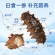 Liao Cucumber Dalian Sea Cucumber Organic Liao Apostichopus non-ready-to-eat sea cucumber gift box seafood fresh Dalian specialty independent packaging subsidy 1000g 32-36 heads gift box