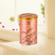 Tianchi Tea Industry 1392 Phoenix Té de un solo chong Milan xiang alpino oolong té chaozhou té de un solo chong puede té de primavera milan xiang 125g*1 Can