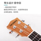 MOSEN MUC810 ukulele ukulele beginner spruce mini guitar 23 inches