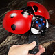 ZF Electric Remote Control Ladybug Toy Children Internet Celebrity Simulation Tricky Induction Moving Insect Reptile Animal Boys Girls Remote Control Ladybug Red 9922+ Screwdriver