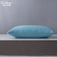 Oreiller Globon Core Coton Down Oreiller Oreiller Hôtel Five-Star White Oerte Plume Oreiller Core Single Adult Bleaching Blanc (modèle amélioré doux et pas facile à effondrer) Oerceau d'oie