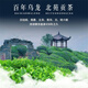 第几茗武夷岩茶大红袍东峰百年矮脚乌龙茶北苑好茶中火花果香茶叶500克 百年矮脚乌龙茶 250克