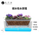 Nine Thousand Grain Vegetable Basin Rectangular Home Planting Pot Vegetable Plastic Long Strip Flower Pot Tank Double-layer Thickened Small 6195