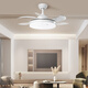 Panasonic fan light starry effect 46 watt 36 inch LED lighting
