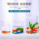 Gong Du Creative Desktop Fish Tank Ecological Round Glass Goldfish Tank Turtle Tank Mini Small Landscaping Home Aquarium Cylindrical Naked Tank Diameter 20CM Height 20CM