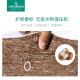 Wanli Great Wall Marke 1,5 Meter 1,8 Meter Meter Bett 22 cm dick umweltfreundlich Kokosnuss Palm Ganzmetz Frühlingsmatratzen -Kammschutz kann angepasst werden.