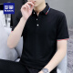 罗蒙（ROMON）POLO男衫短袖t恤男士珠地棉潮流2023上衣服夏季男翻领半袖体恤 5012碳灰色 2XL (适合145-160斤