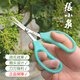 Zhang Xiaoquan's upturned grape fruit branch pruning scissors, fruit thinning, fruit pruning, pepper fruit and vegetable scissors, loquat picking, sunshine roses, Zhang Xiaoquan FL-19 two-color