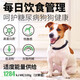 Daily dog food, special dog food for diabetes, low sugar, blood sugar control, full price puppy food, prescription food 10kg