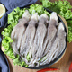 Freshly frozen squid heads and squid tentacles 400g 5-7 pieces Teppanyaki squid barbecue hot pot ingredients soft foot gift