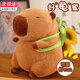
Panda Bear Kapibala Doll Doll Plush Toy Ragdoll Girl Birthday Gift Girl Capybara Lulu Grooster Doll