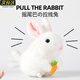 Weltston Plush Toy Doll Dolls Dolls Gird Girl Girl Girl Girl pour se moquer du petit lapin blanc