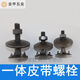 Shenzhiyou integrated belt screw bolt, bucket screw, hopper elevator screw bolt, integrated belt nail screw, M10*45 50 sets