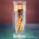 Lei Yunshang Cordyceps sinensis 1g Tibet High-altitude Fresh Dried Cordyceps sinensis Non-segmented Grass Facilities for 4 refined Chinese medicines Cordyceps sinensis 1g/4 roots