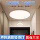 Fanyao led voice-activated sensor light ultra-thin three-proof ceiling-mounted lamp stair aisle corridor corridor light smart light 36W-voice-activated sensor