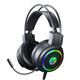 HP H100 Gaming Headset Headset with Microphone E-Sports Game Chicken Delta Action Hearing and Positioning Black USB