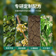 Shangyang Osmanthus nutritious soil 8L home gardening flower soil flower plant planting soil granular soil organic soil