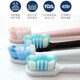 zlerZLER is suitable for Philips electric toothbrush HX6610 HX6210 HX6616 HX6920 sound wave vibration toothbrush head accessories 8-pack [white diamond bright white type]