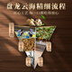 盘龙云海 三七粉 50g/瓶 散瘀止血 消肿定痛 用于咯血 吐血 衄血 便血 崩漏 外伤出血 胸腹刺痛 跌扑肿痛