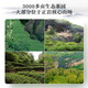Xigua Oolong Tea Swallow Crocodile Wuyi Rock Tea Narcissus 102g Medium Light Fire Gift Box Pack