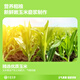 华田禾邦 甜糯玉米浆包 800g玉米饼粑粑饼粗粮东北特产手工蒸煎烙早餐速食