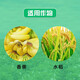Make 100g ADAMA Huifeng 45% prochloraz fruit tree crown rot anthracnose rice blast white rot pesticide fungicide 100ml