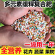 Nitrogen, phosphorus and potassium fertilizer for flowers, general chemical fertilizer, compound fertilizer, special trace element water-soluble fertilizer for vegetable and succulent potted plants, full nutrition and high-efficiency compound fertilizer. Ten Jin Jin is equal to 0.5 kilograms.