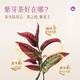 Lancang ancient thé violet berry thé cru ther indépendant petit gâteau mignon 2023 Yunnan Purple Berry Raw Tea Cake Box Puer Thé Cake [Thé cru à la baie violette] 20 pièces
