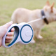 Jiashigao dog chain dog walking leash automatic telescopic leash chain medium and large dog Teddy golden retriever supplies blue and white - 5 meters