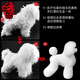 Black Bird Pet Professional Beauty Simulation Fake Hair Model Teddy Ram VIP Head Model Fake Dog Model Skeleton Practice Special Body Hair Film