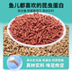 Zhanliu Fishing King Hellcat Nest-making Granules Insect Protein Wild Fishing Nest-making Crucian Carp Carp Red Worm Bottom Nest Four Seasons Fish Food Hellcat Nest-making Granules 1 Pack