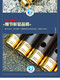 风海名家管子乐器初学者 镀金箍专业级成人儿童催泪管D大G调大F送树脂哨片 专业大F调（高配）