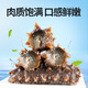 Guanshentang Dalian ready-to-eat sea cucumber 1Jin Jin is equal to 0.5kg 5-7 pieces Frozen sea cucumber seafood simple package more than 85% solid content