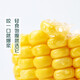 黄粒甜玉米约800g