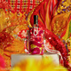 Hennessy VSOP Cognac French imported wine 700ml*2 2025 Spring Festival limited edition