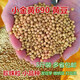 发芽小金黄690黄豆5斤小黄豆发豆芽做纳豆珍珠粒250g 发芽专用690小黄豆250g