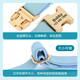 DidogPet pet collar full dog neck ring dog brand custom lettering anti-lost dog collar dog leash explosion-proof traction set chocolate traction set please leave a message for lettering M-reference weight 18-50Jin [Jin equals 0.5 kg]