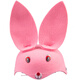 Lingchuan Liuyi Kindergarten Animal Headgear Cute Tiger Mouse Children's Cartoon Headgear Rabbit Ears Hat Performance Props W-Piggy