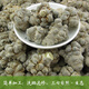 Sanqitou Authentische Yunnan Wenshan 20 Spring Sanqitou Ganze chinesische Heilmaterialien Trockenwaren, Spezialgrad Wild Field 7 neue Produkte 20 Sanqitou 250 Gramm