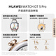 Huawei (Huawei) Watch GT 5 Pro Huawei Smart Watch Xuanji Système de détection Advanced Sports Emotional Health Assistant Long Batterie 42 mm Small Watch Glacier White