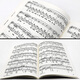 Полная коллекция подлинной фортепиано Chopin Paino Works 5 Nocturne Works 9-62 Польская национальная версия Оригинальное введение BON NOCTURNE OPP.962 Практика фортепиано на фортепиано